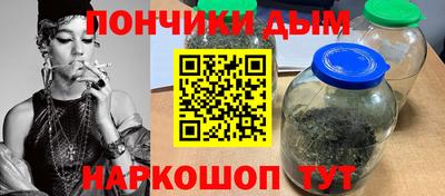 мдпв Новозыбков