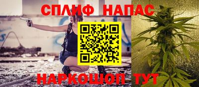 мдпв Новозыбков