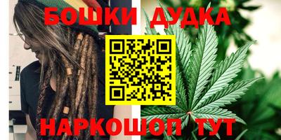 Альфа ПВП Новодвинск