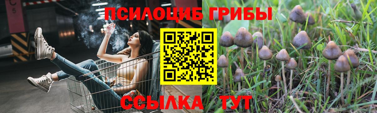 Урай  Псилоцибиновые грибы мухоморы  Вход с VPN 